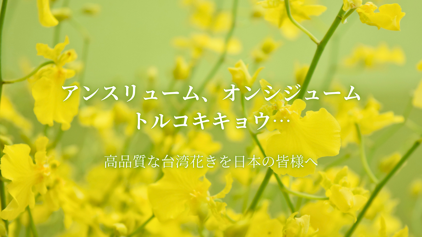 株式会社翠光トップライン