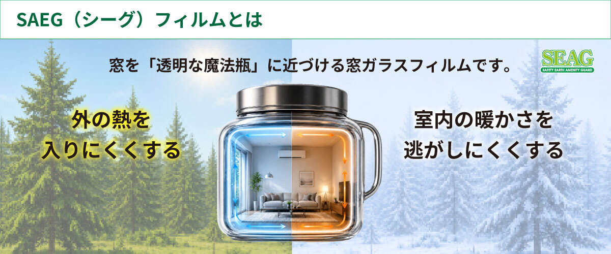 SEAGフィルムとは?
